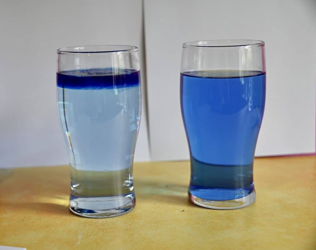 ice cube in salt water science experiment.  The glass without salt has turned blue and the glass with salt has the concentrated blue water cube on top.