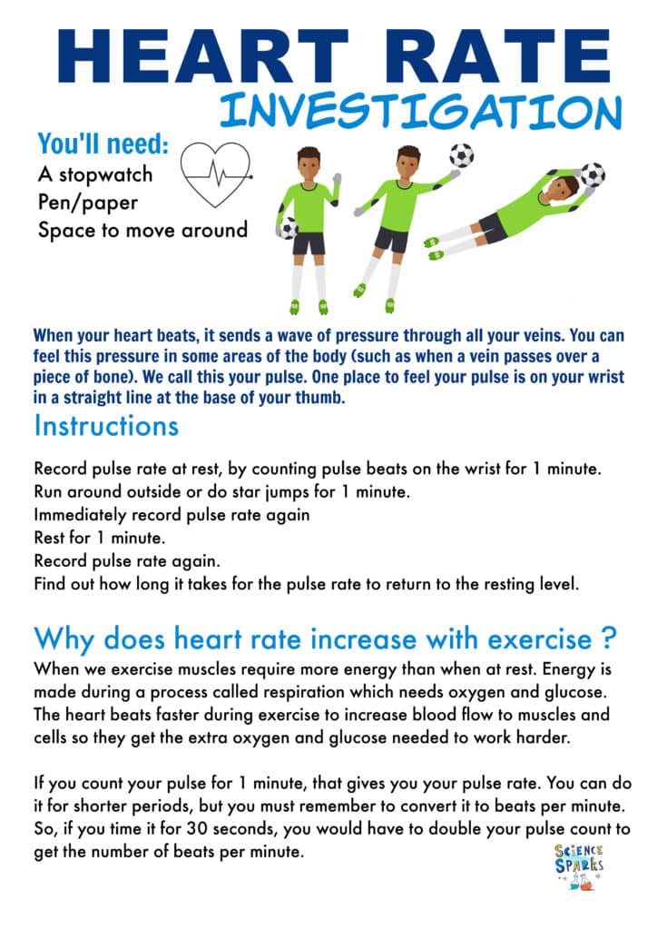 Football-Themed Heart Rate Scientific Research Instructions