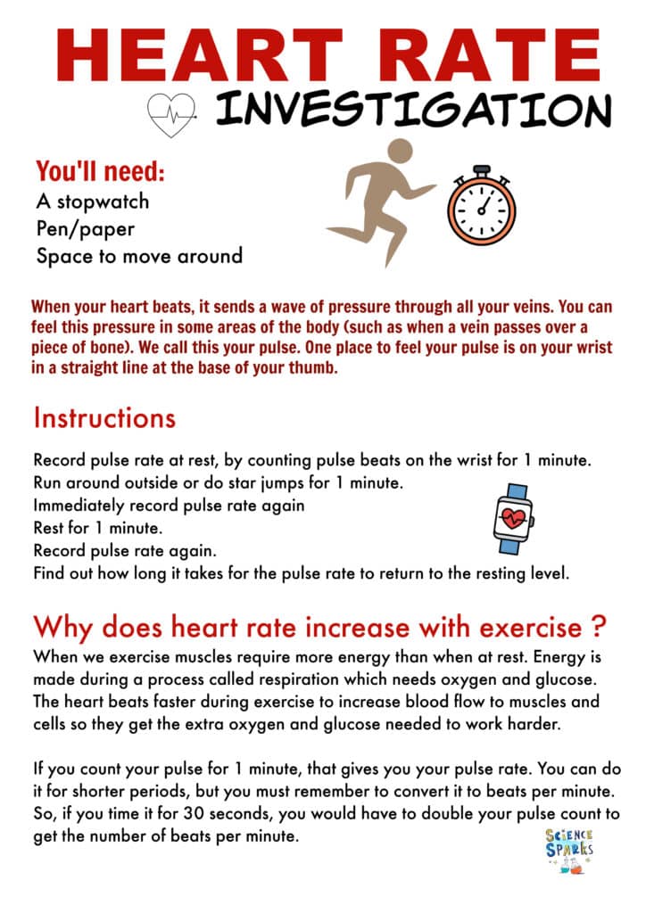 Heart rate and exercise investigation instructions