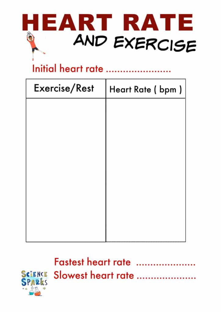 heart rate and exercise investigation results table