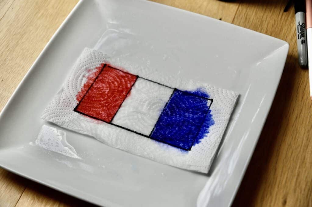 France flag on kitchen towel for a science activity