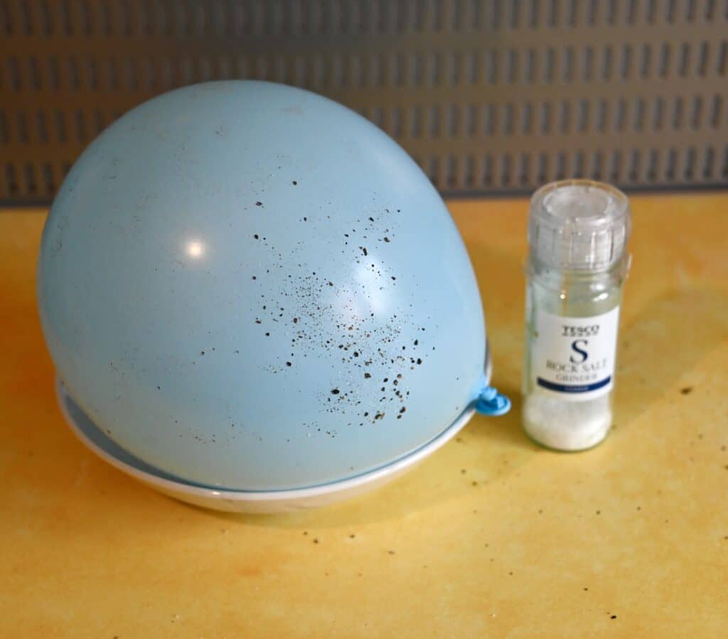 Pepper covered globe from a science activity that separates salt and pepper