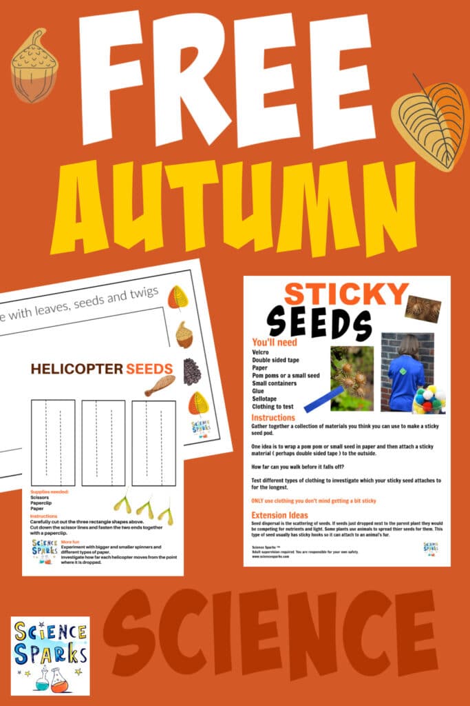 FREE autumn Science Resources