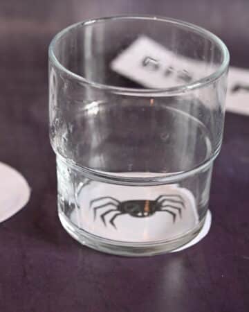 disappearing spider refraction trick