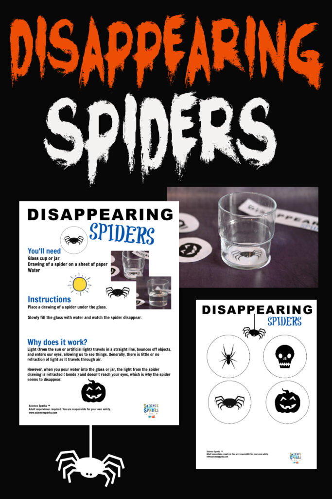 Disappearing Spider Refraction Trick