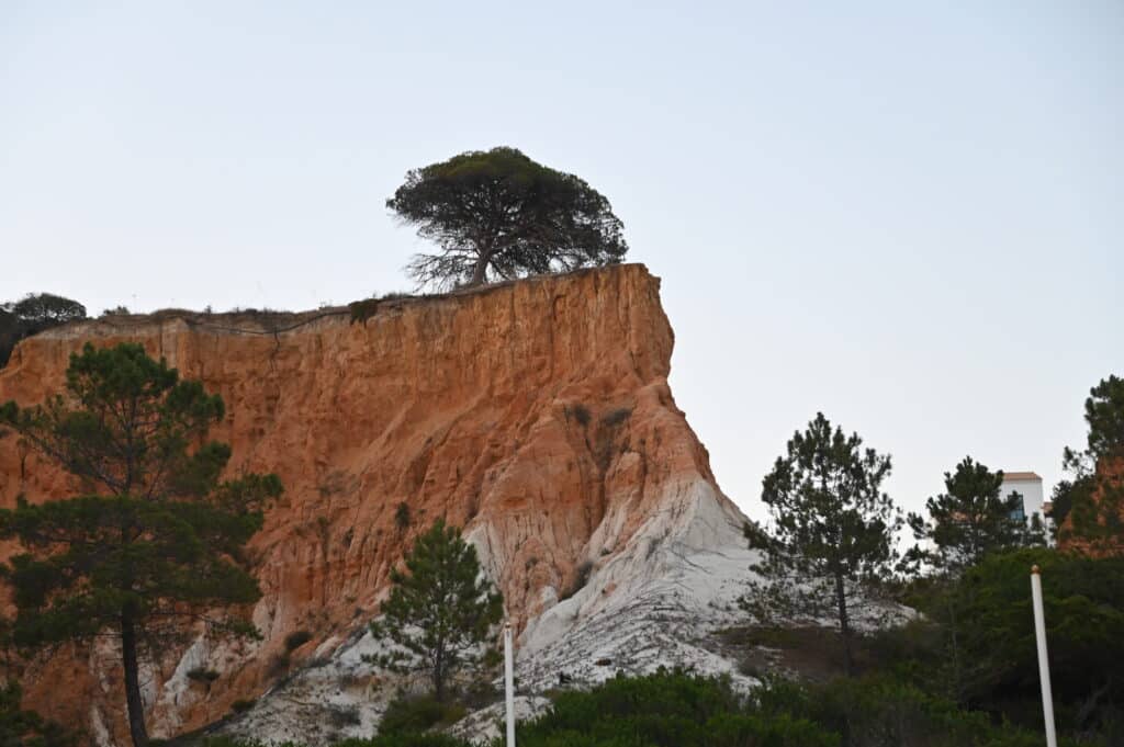 Striking cliffs in the Algarve