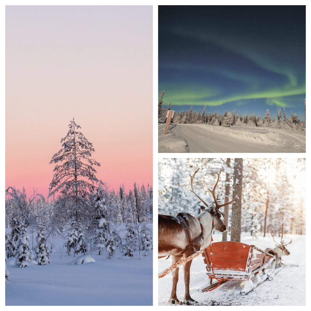 Images of Lapland, including a snow covered forest and the Northern Lights