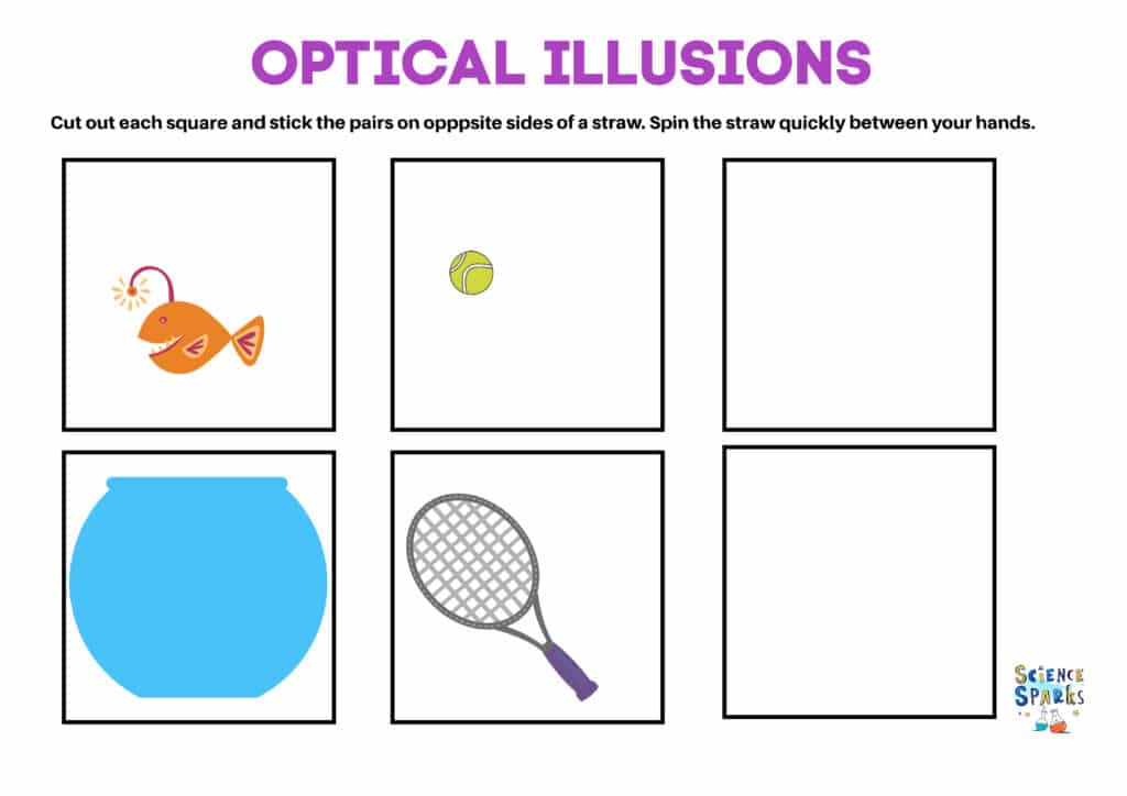 Optical illusion template science activity