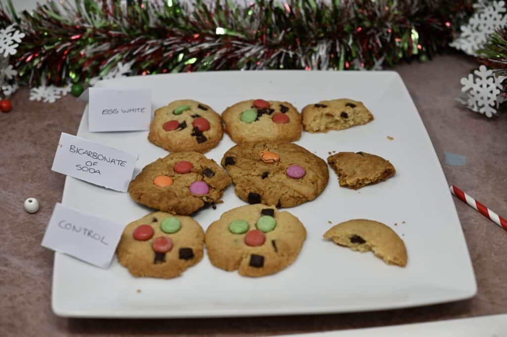 cookies baked with egg white and bicarbonate of soda for a raising agent science experiment